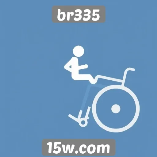 Acessibilidade no site br335 melhora a experiência do usuário